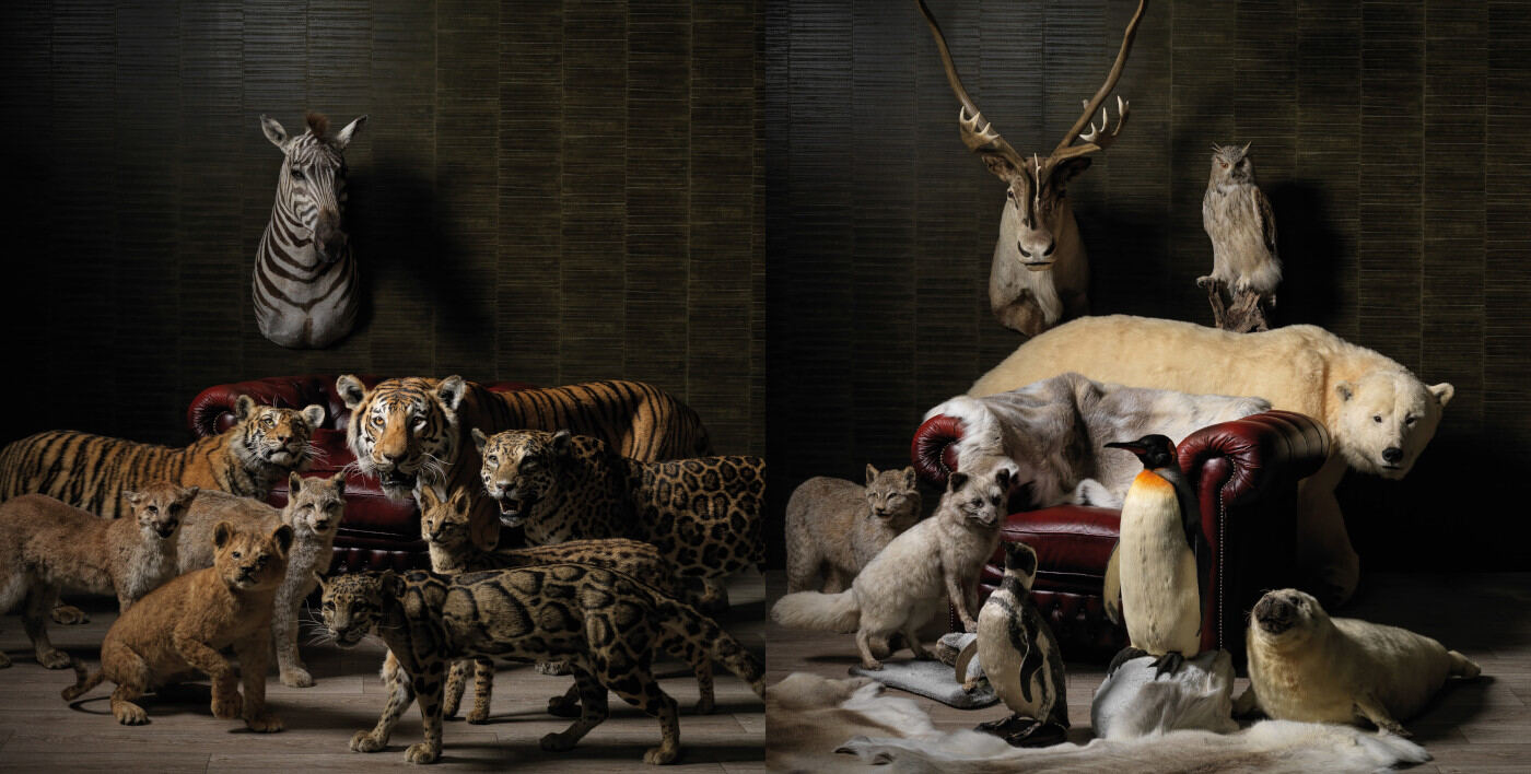 By Max Interieur & Decoratie